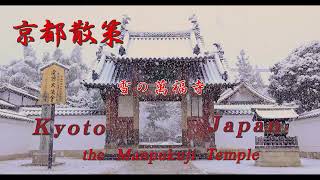 京都散策　雪の萬福寺　禅寺　Manpukuji  Temple  Kyoto  Japan