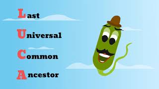 L.U.C.A (The Last Universal Common Ancestor) Explainer Video