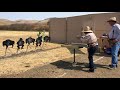 2018 sass western regional championship legally loaded