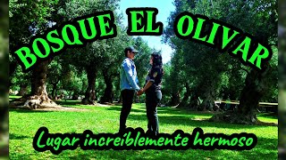 BOSQUE EL OLIVAR, en el corazón de San Isidro