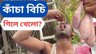 গরুর বিচি (অন্ডকোষ) কাঁচা খেয়ে নিলো! (Cow's Testicles as Food)