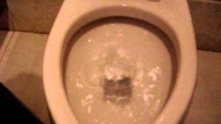 Exploding Toilet