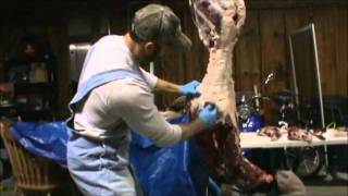 How to Quarter a Deer