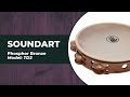 Phosphor Bronze SoundArt Tambourine | TD2 Sound Sample