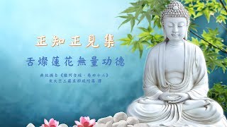 口業🌸正知正見集 10：舌燦蓮花無量功德 《雜阿含經》 20191013