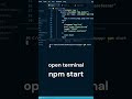how to run react app using terminal and npm