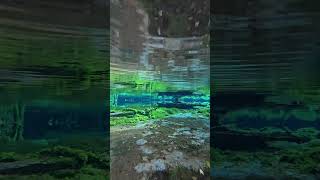 【癒しの水中映像】水の中の天国#nature #underwater #calm #short #relaxing