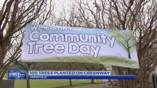 Volunteers gather in the rain to plant 110 trees in Greenville