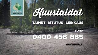 Kuusiaitaa