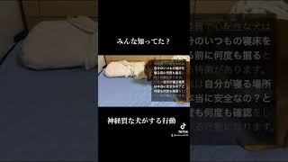 神経質な犬が見せる行動 #shorts