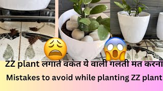 ZZ plant me ye galati mat karna varna aapka plant gaya #zzplantcare #soil #plant