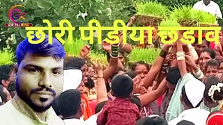 Banjara Teej video Khilar || छोरी पीडीया छडाव || banjara teej festival || बंजारा तीज विसर्जन