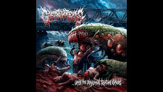 Gastrorrexis - Embrionical Genetic Disorder