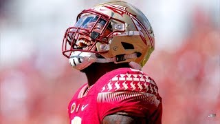 Florida State RB Cam Akers 2019 Highlights ᴴᴰ