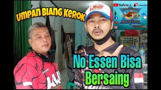 UMPAN BIANG KEROK || TANPA ESSEN BISA BERSAING...!!!