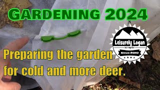 Garden 2024 : October update and preparing for winter and more deer #garden