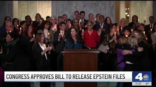 Congress approves bill to release Epstein files