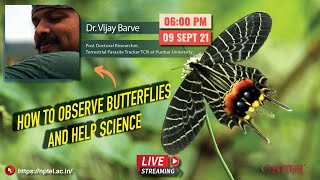 LIVE _ How to Observe Butterflies and Help Science