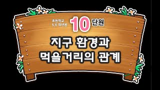 10. 지구 환경과 먹을거리의 관계 - 어린이 초록세상(초등 5,6학년)