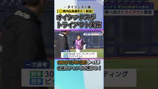 【プロ野球｜オイシックス】18歳から〝松坂世代〟の選手も オイシックスがトライアウトを実施 #news #short  #ux新潟テレビ21 #新潟