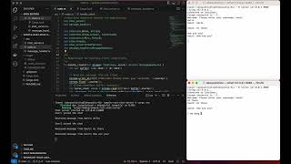 1 min demo of Simple Chat Server in Rust