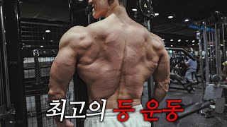 운동 12년 해보고 느낀 최고의 등 운동 5가지