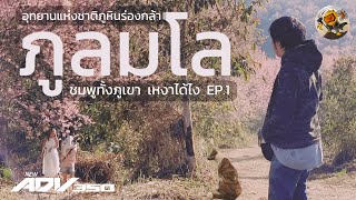 (ชมภูทั้งภูเขา เหงาได้ไง EP.1) ขี่ ADV350 ไปแอ่ว ภูหินร่องกล้า-บ้านร่องกล้า-ภูลมโล