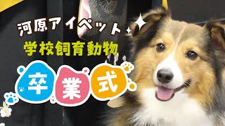 学校飼育動物たちの卒業式～学生と一緒に卒業します～【河原アイペットワールド専門学校】