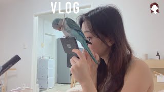 [일상 vlog] 앵무새카페 | 앵무새와 함께하는 일상 | 부부의세계 | 김치전 | 강아지와 산책