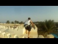 le plus beau saut au monde - TunisiaFace