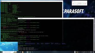 Demystifying Parasoft C/C++test cpptestcli -resource