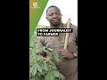 Burkina Faso: From journalist to farmer