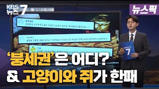 [뉴스픽] 사라진 붕어빵…'붕세권'은 어디? / \