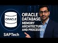 Oracle Database Memory Architecture Explained | SGA, PGA, Background Processes