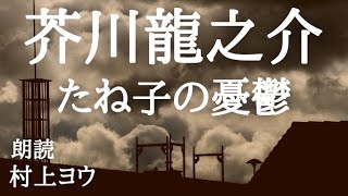 【声優の朗読】初めて洋食を食べる不安が・・・～芥川龍之介・作『たね子の憂鬱』【小説】