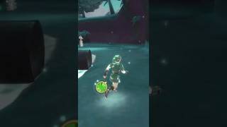 Did you know this secret in Skyward Sword’s Silent Realms?