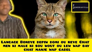 Langage Bondye depiw domi ou reve Chat men ki male ki sou wout ou lew wap bay chat manje wap gadel