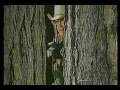 Stallion ~ A special BONANZA episode from the last year 1972 - 1973