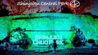 4K 新宿中央公園 イルミネーション2021 Japan,Tokyo Shinjuku Central Park Illumination