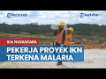 Pekerja Proyek Pembangunan IKN Nusantara di Kaltim Terkena Malaria