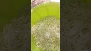 Cooking cabbage my own way how do you like yours cooked