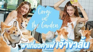 GRWM แต่งตัวบนรถ พาไปเที่ยวคาเฟ่เจ้าตูบขาสั้น Corgi in the garden l Dujdow