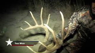 Team200 - Rut Strategies and the Late Season