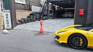 🇰🇷 The dog or the Ferrari? Seoul, South Korea