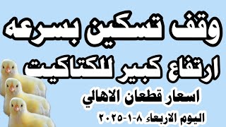 اسعار الكتاكيت البيضاء اليوم سعر الكتاكيت البيضاء اليوم الاربعاء ٨-١-٢٠٢٥ في الشركات في مصر