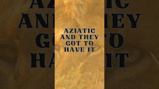 Aziatic (Lyric Video) #univsolmc #newmusic