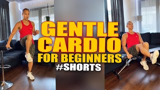 Gentle Cardio for Beginners