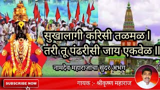 सुखालागीं करिसी तळमळ।श्रीकृष्ण महाराज यांच्या गोड आवाजातील नामदेव महाराजांचा सुंदर अभंग.