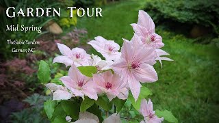 The Yarden Episode004 - A-MAY-zing Mid Spring and more Clematis