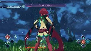 【ホムラ様が全てにおいて後衛アングルをサポートいたします！】ゼノブレイド2　Xenoblade2　Switch【水着、ビキニはまだまだ先です】